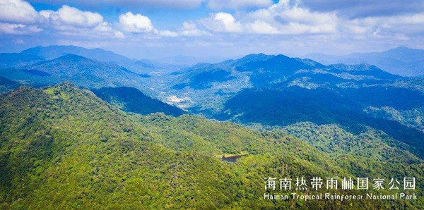 电子围栏 电子围栏