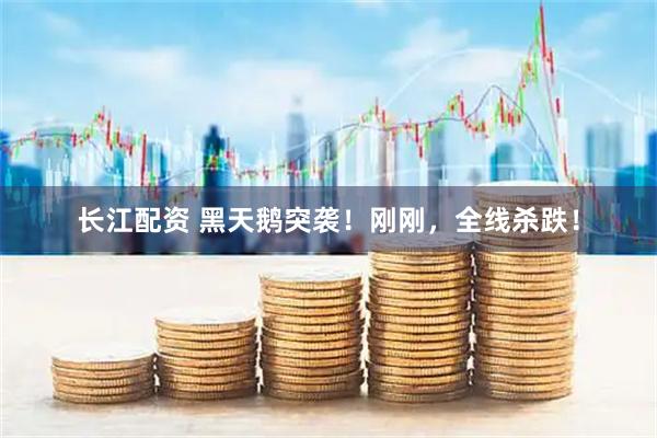 长江配资 黑天鹅突袭!刚刚,全线杀跌!