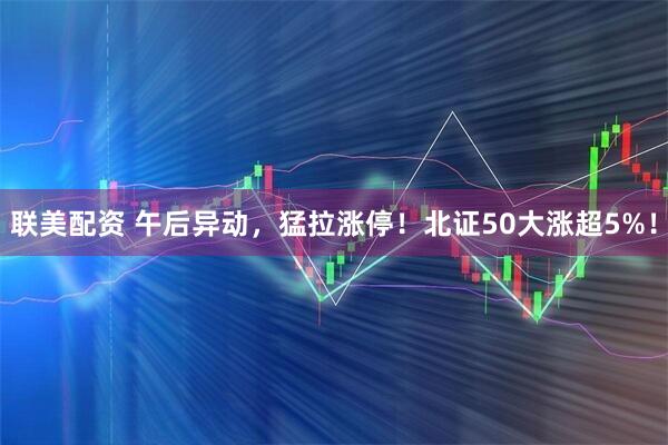 联美配资 午后异动,猛拉涨停!北证50大涨超5%!