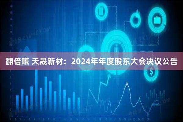 翻倍赚 天晟新材：2024年年度股东大会决议公告
